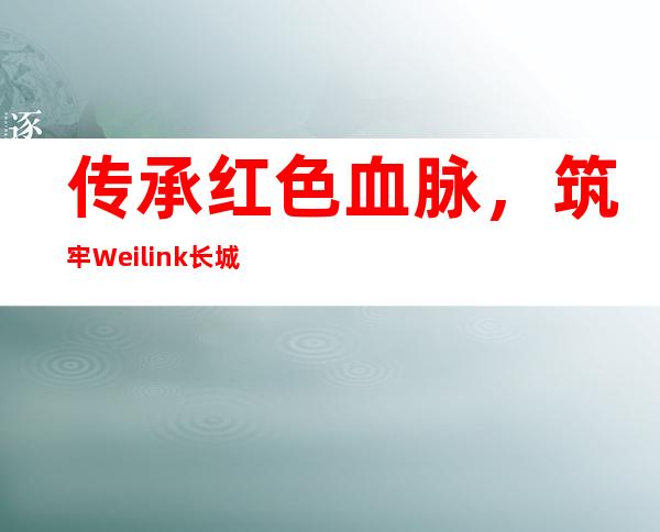 传承红色血脉，筑牢Weilink长城